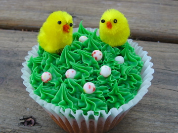 Two chicks in grass